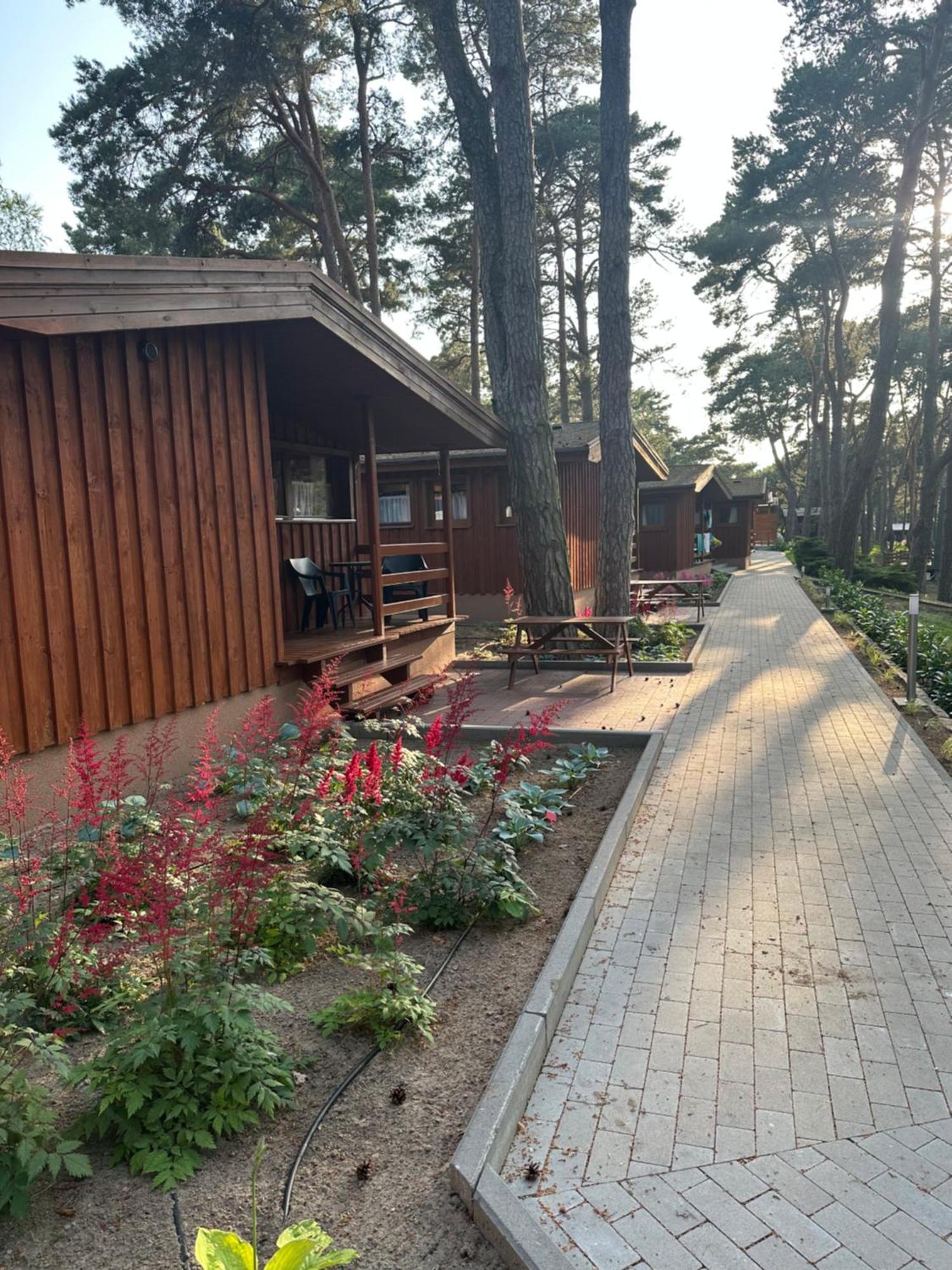 Campus Karolina Brenno Lägenhet Exteriör bild